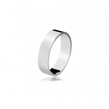 Aliança de Prata Cesky