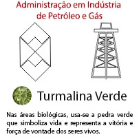 Administração em Indústria de Petróleo e Gás