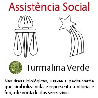 Assistncia Social