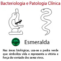 Bacteriologia e Patologia Clínica
