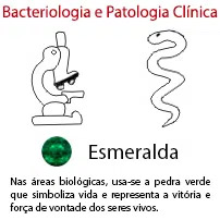 Bacteriologia e Patologia Clnica