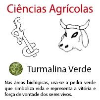 Ciências Agrícolas