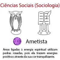 Cincias Sociais Sociologia