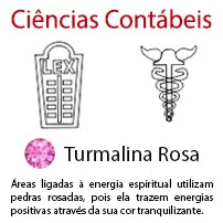 Cincias Contbeis 