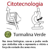 Citotecnologia
