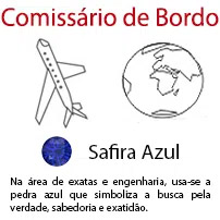 Comissário de Bordo