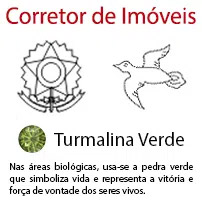 Corretor de Imveis