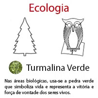 Ecologia