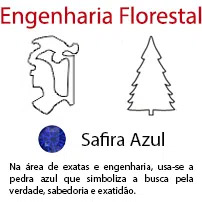 Engenharia Florestal