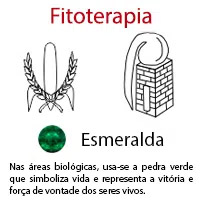 Fitoterapia