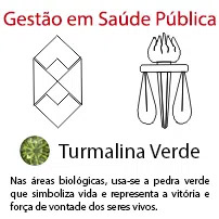 Gestão em Saúde Pública