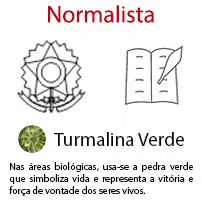 Normalista