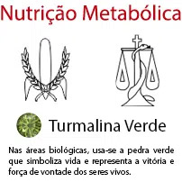 Nutrição Metabólica