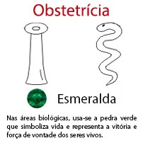 Obstetrícia