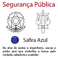 Segurança Pública