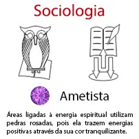 Sociologia