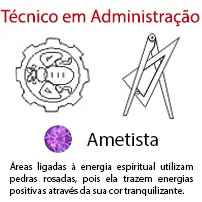 Técnico em Administração