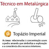 Técnico em Metalúrgica