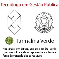 Tecnólogo em Gestão Pública