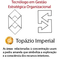 Tecnólogo em Gestão Estratégica Organizacional