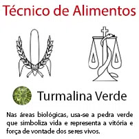 Técnico de Alimentos