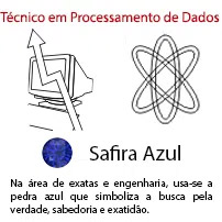 Técnico em Processamento de Dados